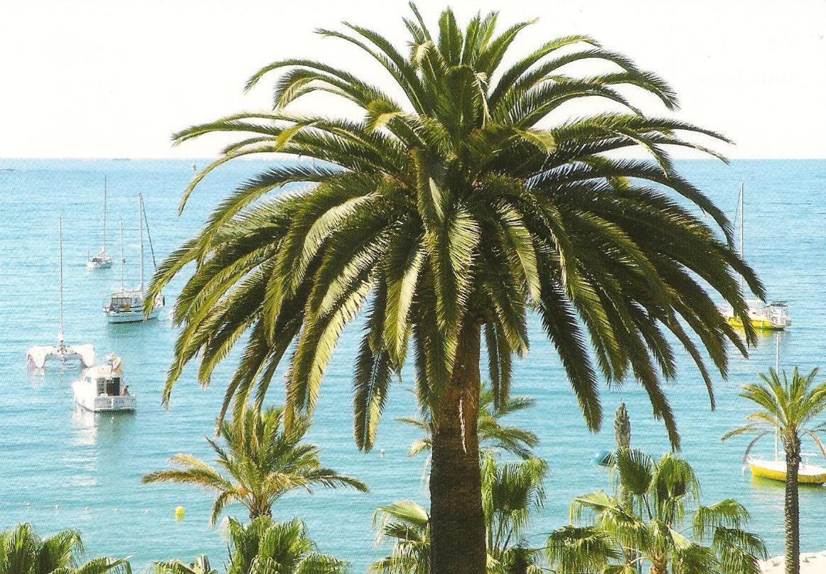 Studio Climatise. Proche Parking, Commerces Et Mer Apartment Carqueiranne Bagian luar foto